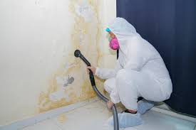 Best Mold Odor Removal Services  in Gower, MO